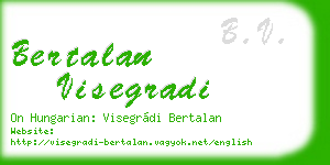 bertalan visegradi business card
